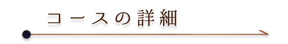 コースの詳細